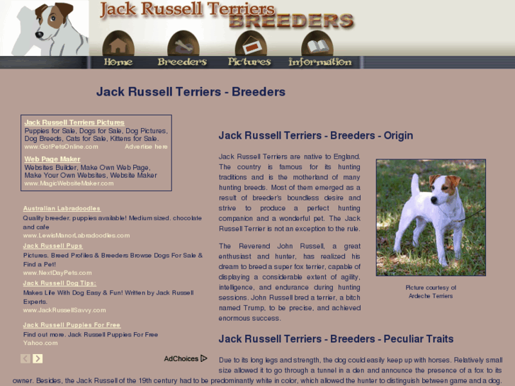www.jack-russell-terriers-breeders.com
