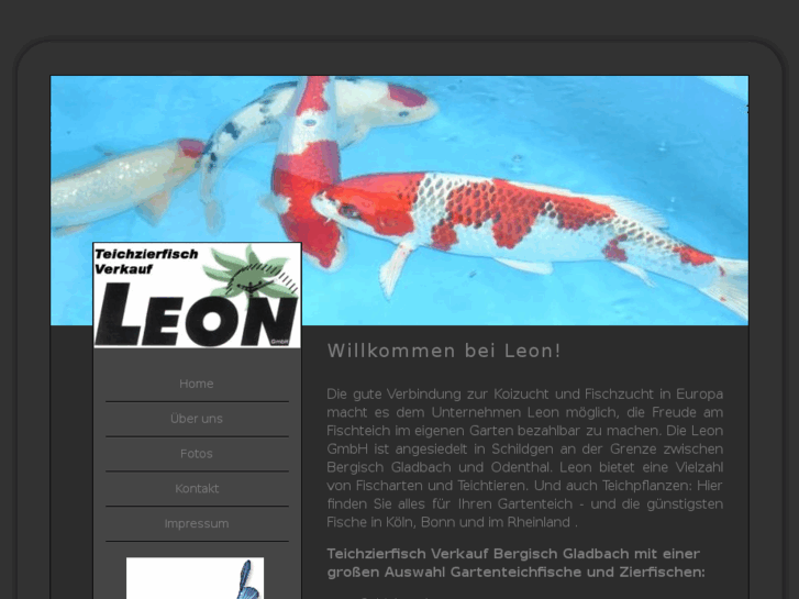 www.leon-koi.com