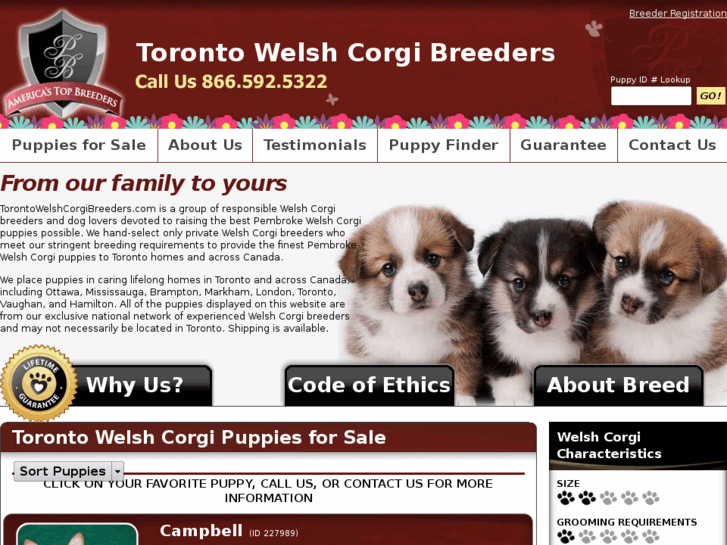 www.torontowelshcorgibreeders.com