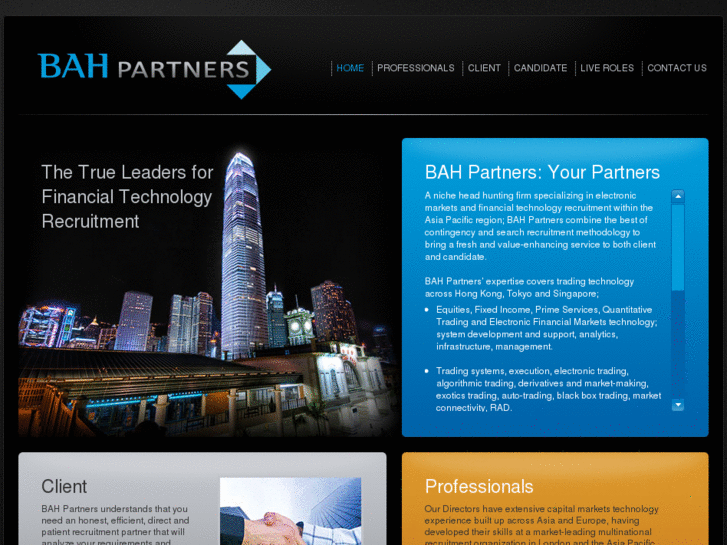 www.bahpartners.com