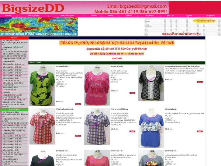 www.bigsizedd.com