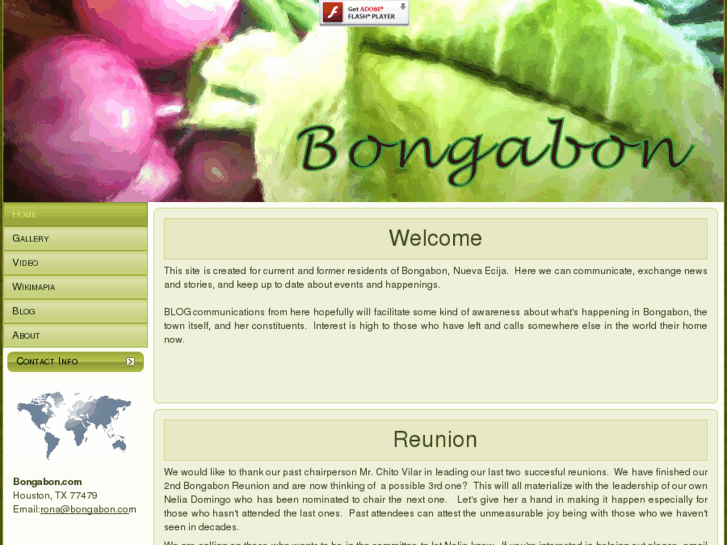 www.bongabon.com