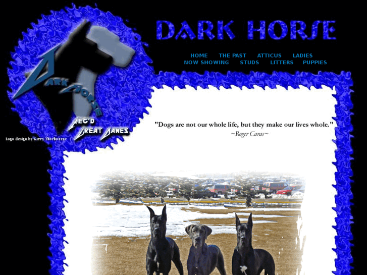 www.darkhorsedanes.com