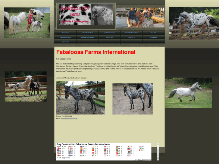 www.fabaloosa.com