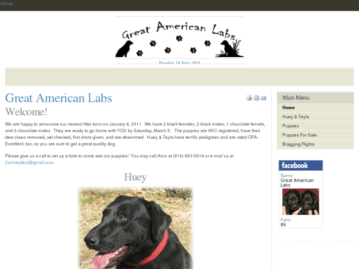 www.greatamericanlabs.com