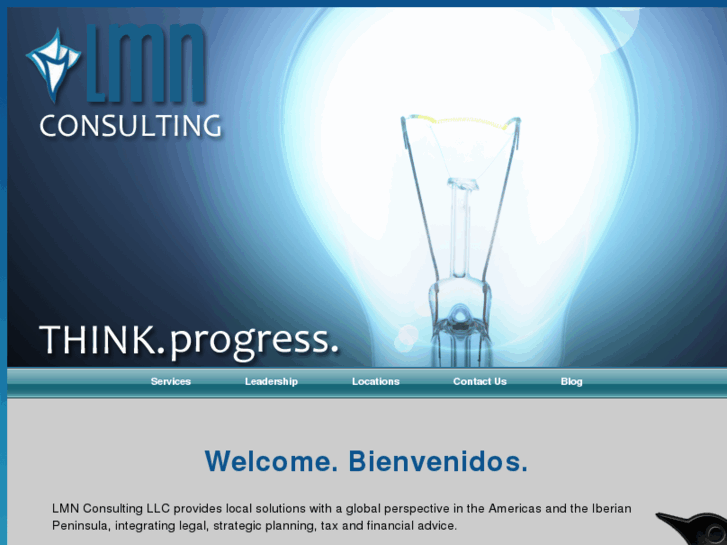 www.lmnconsultingllc.net