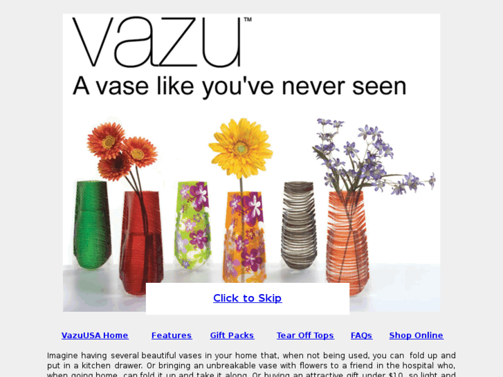 www.vazuusa.biz