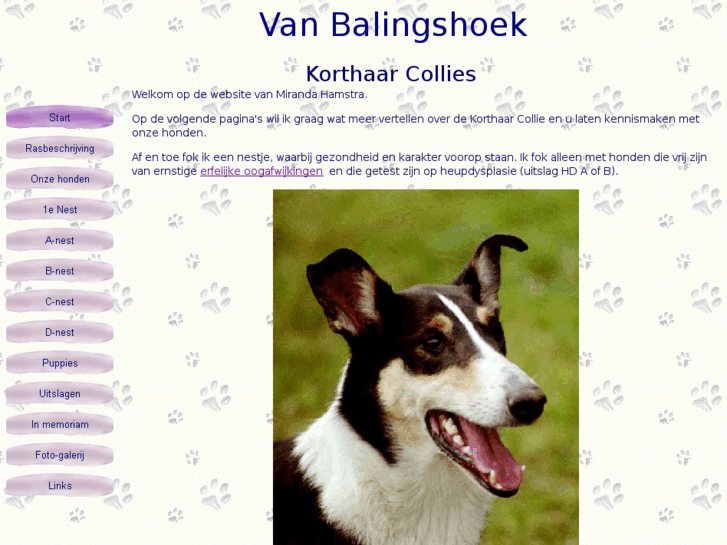 www.balingshoek.com