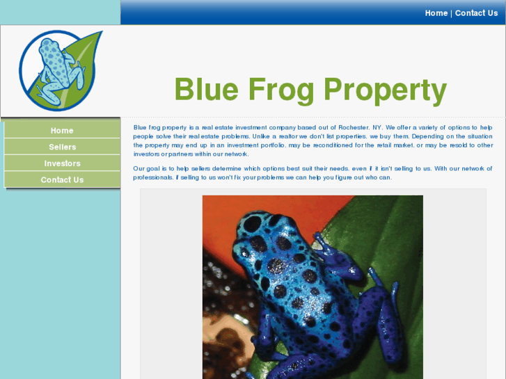 www.bluefrog-property.com