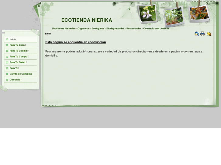 www.ecotiendanierika.com