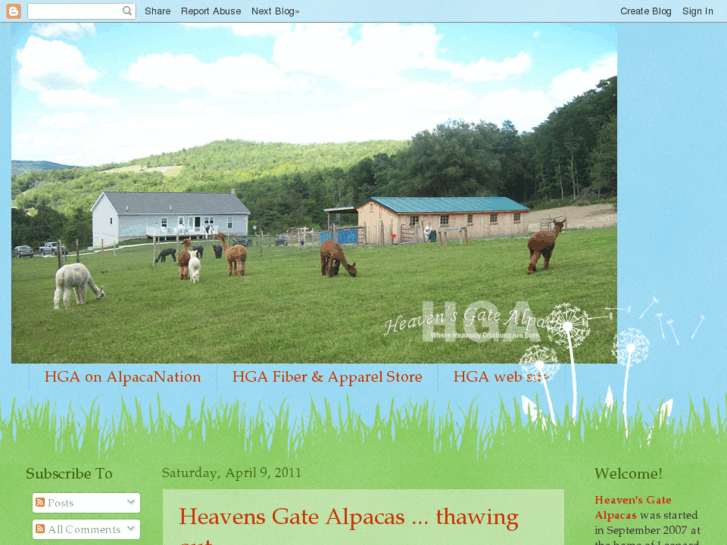 www.heavensgatealpacas.com