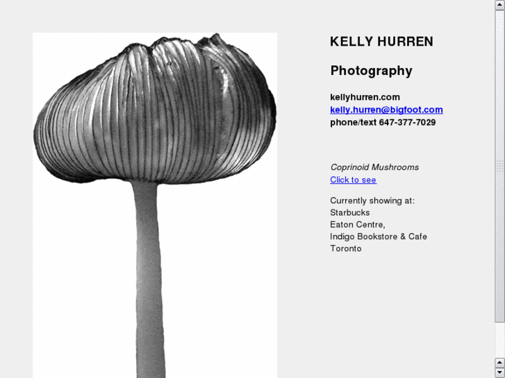 www.kellyhurren.com