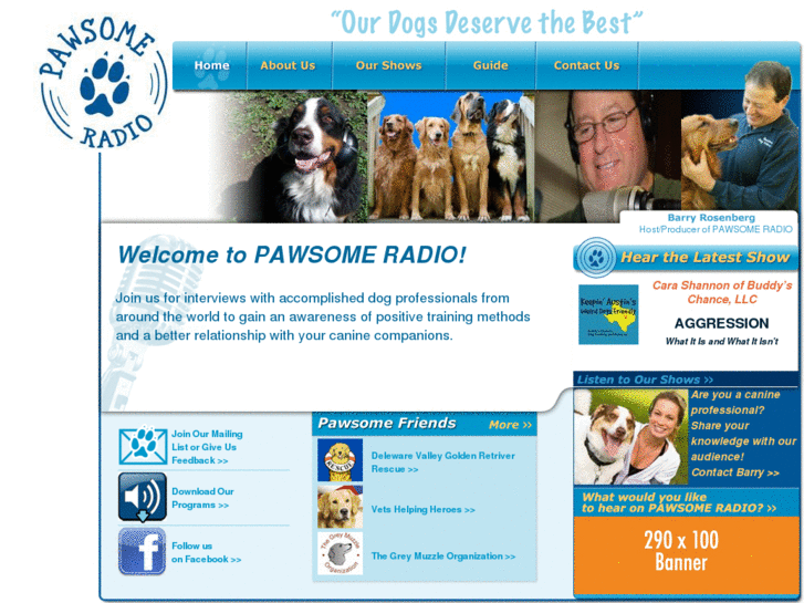 www.pawesomedogtraining.com