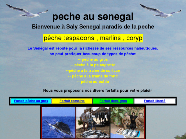 www.saly-peche.net