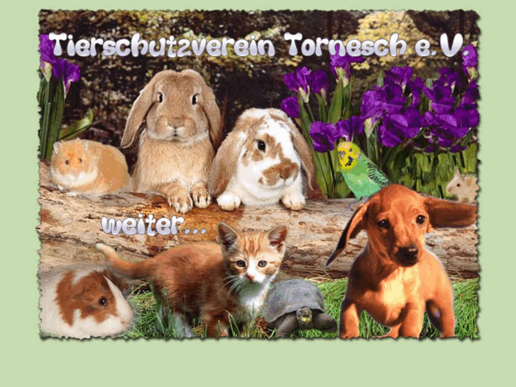 www.tierschutzverein-tornesch.de