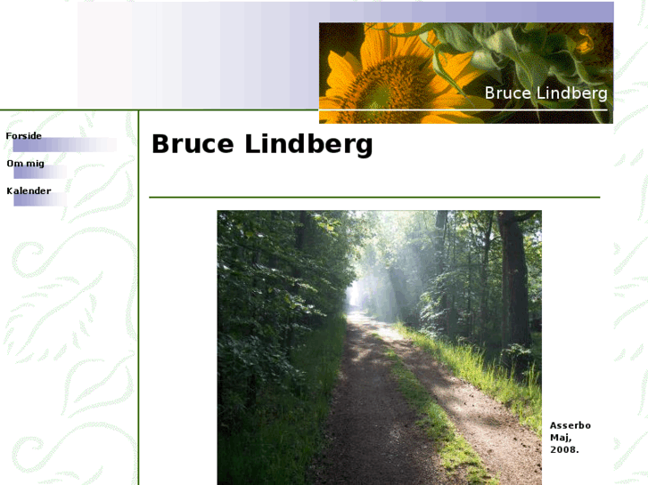 www.brucelindberg.com