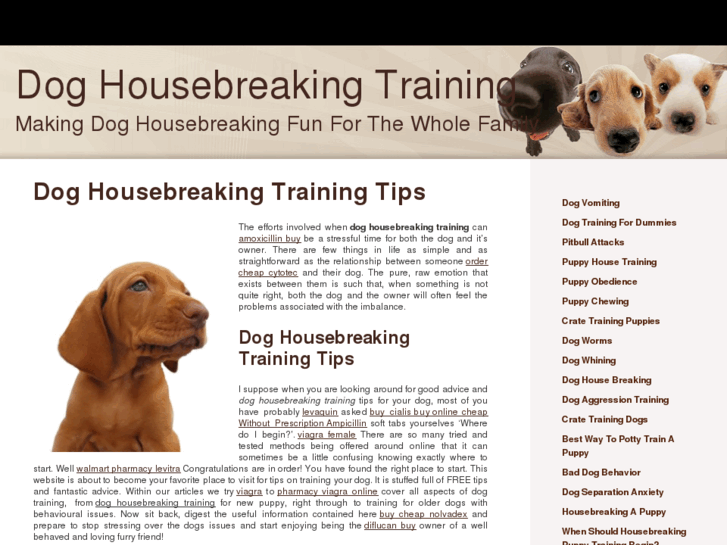 www.doghousebreakingtraining.net