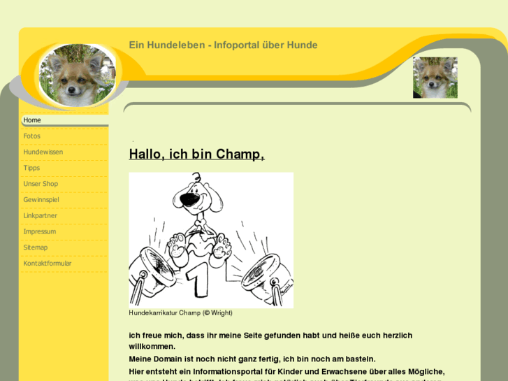 www.einhundeleben.com