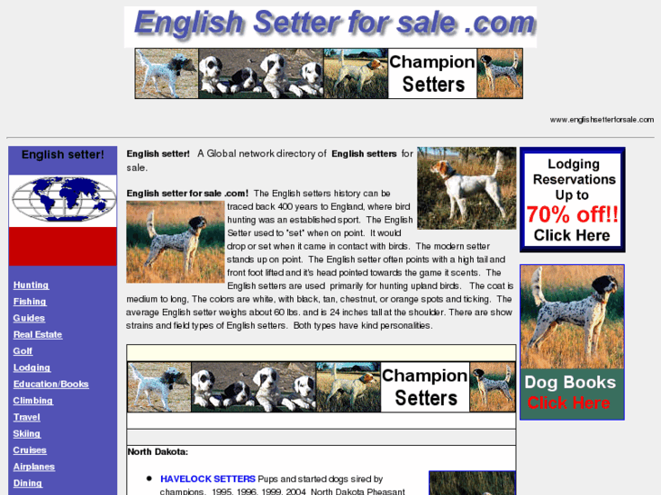 www.englishsetterforsale.com