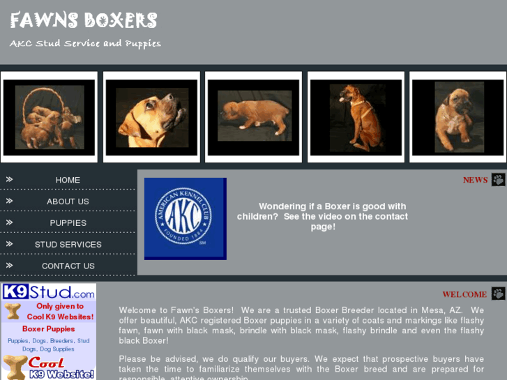 www.fawnsboxers.com