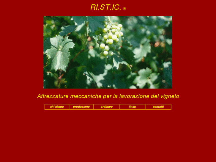 www.ristic.it