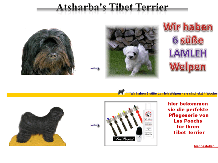 www.tibet-terrier.de