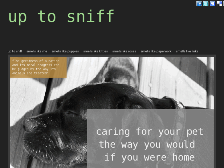 www.uptosniff.com