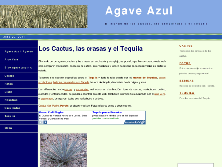 www.agaveazul.net