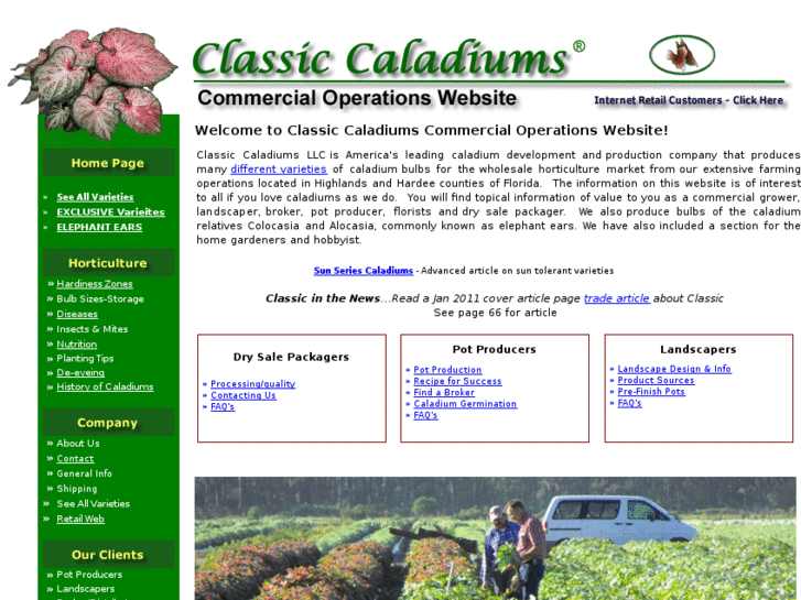 www.classiccaladium.com