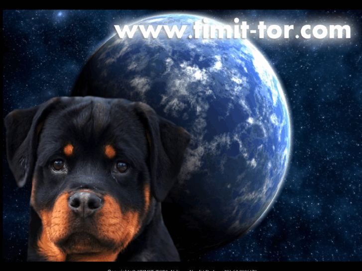 www.timit-tor.com