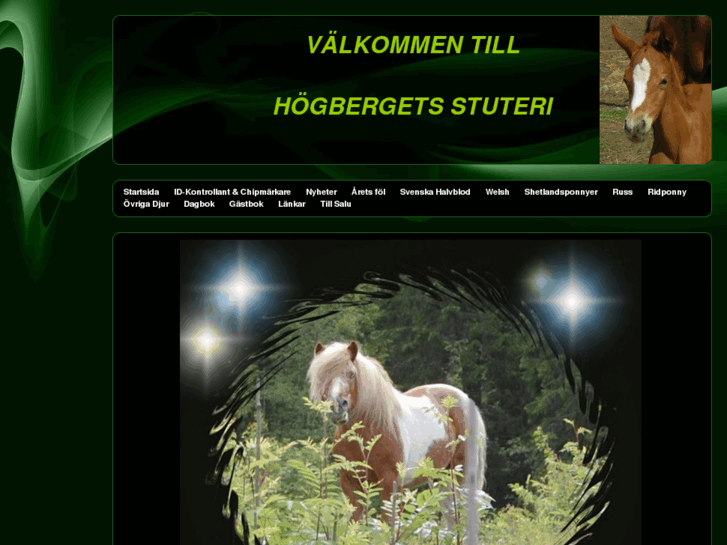 www.hogbergetsstuteri.com