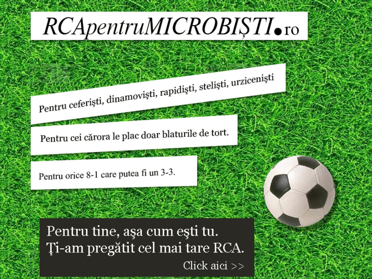 www.rcapentrumicrobisti.ro