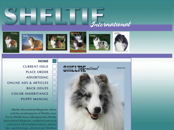 www.sheltieinternational.com