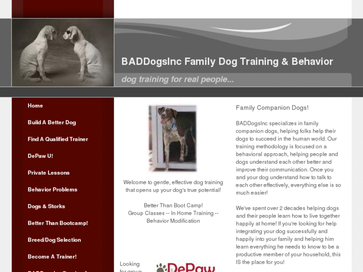 www.baddogsinc.com