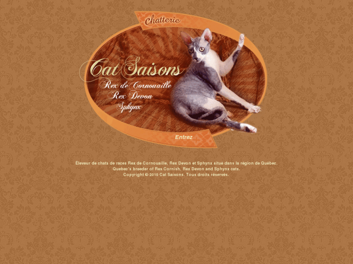 www.catsaisons.com