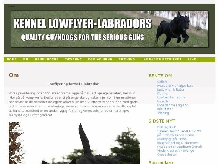 www.lowflyer-labradors.dk