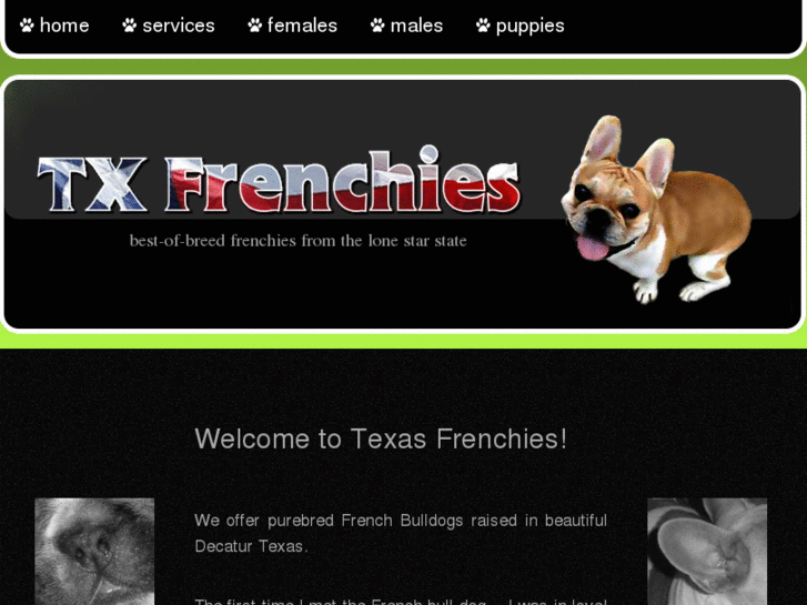 www.txfrenchies.com