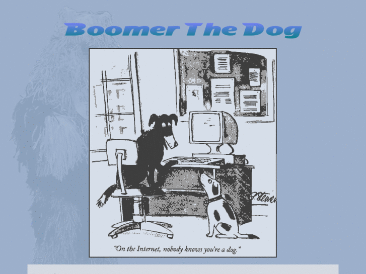 www.boomerthedog.net