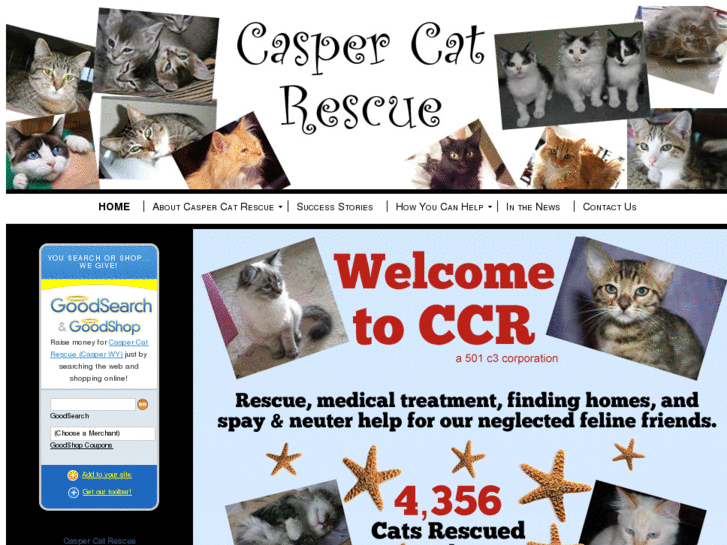 www.caspercatrescue.com