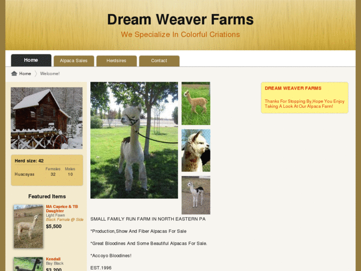 www.dreamweaverfarms.com