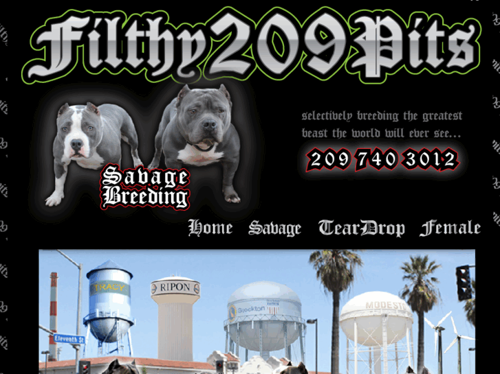 www.filthy209pits.com