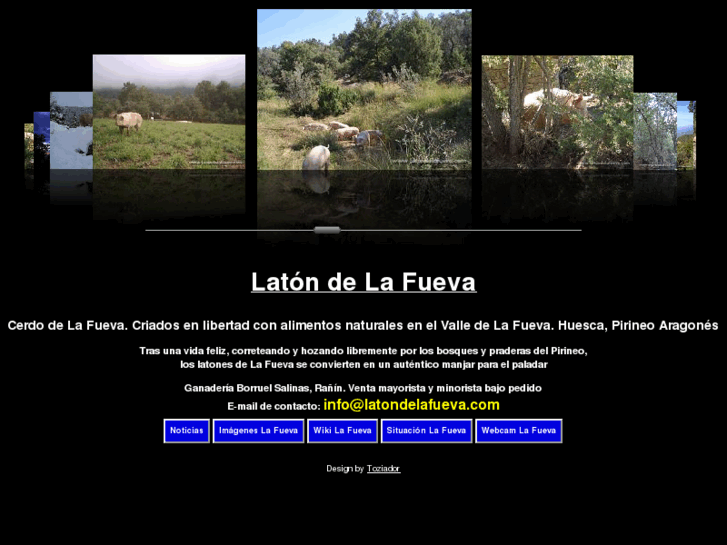 www.latondelafueva.com