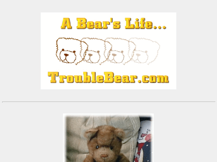 www.troublebear.com