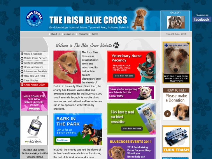 www.bluecross.ie