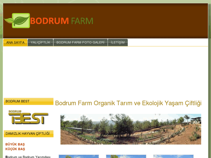 www.bodrumfarm.com
