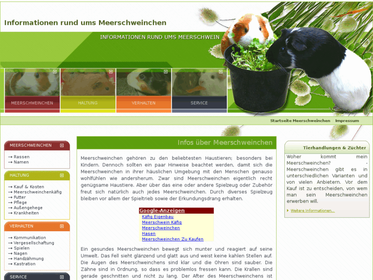 www.meerschweinsite.com