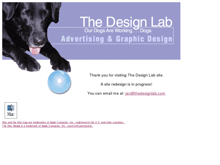 www.thedesignlab.com