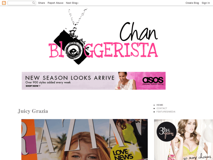www.chanbloggerista.com