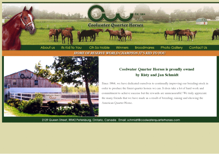 www.coolwaterquarterhorses.com