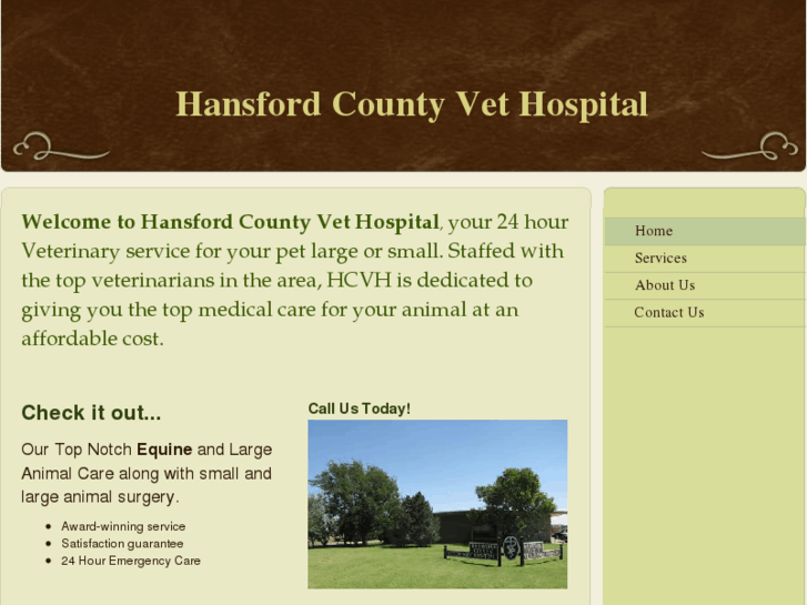 www.hansfordcountyvet.com